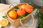 Orange candle garden party candle original gift food candle soy wax candle fruit candle orange scent decorative kitchen candle home decor