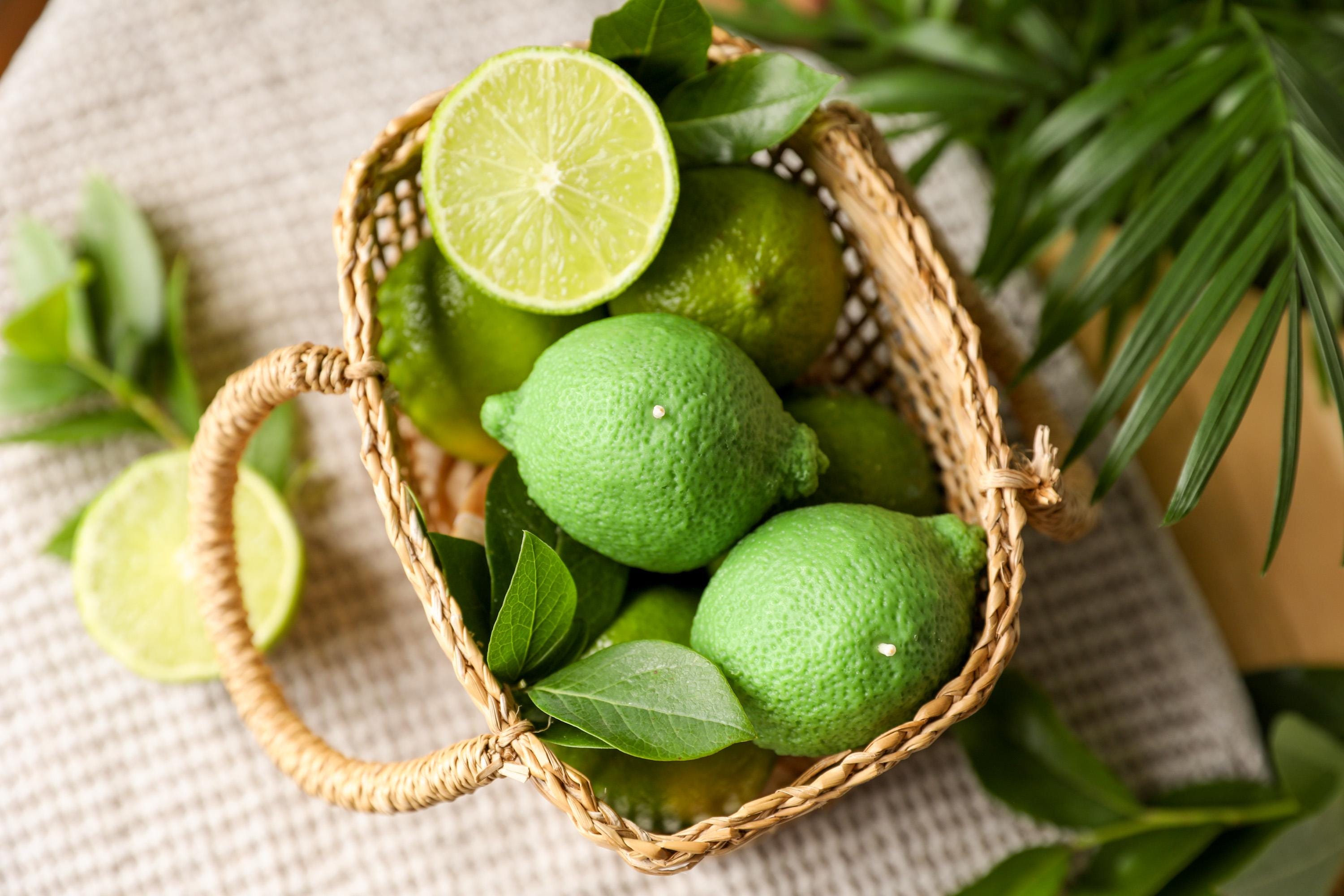 Lime candle garden party candle original gift food candle soy wax fruit candle lemon scent decorative kitchen candle decor
