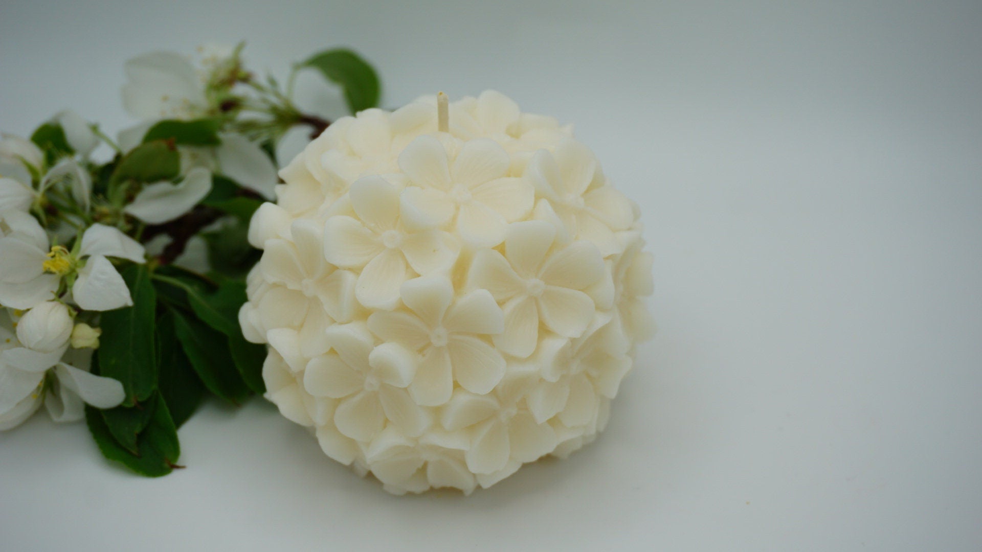 Sakura Flower Soy Candle: Cozy Minimalist Decor, Handmade Aesthetic Cherry Blossom Gift Box, Moonflower Scented Floral Present