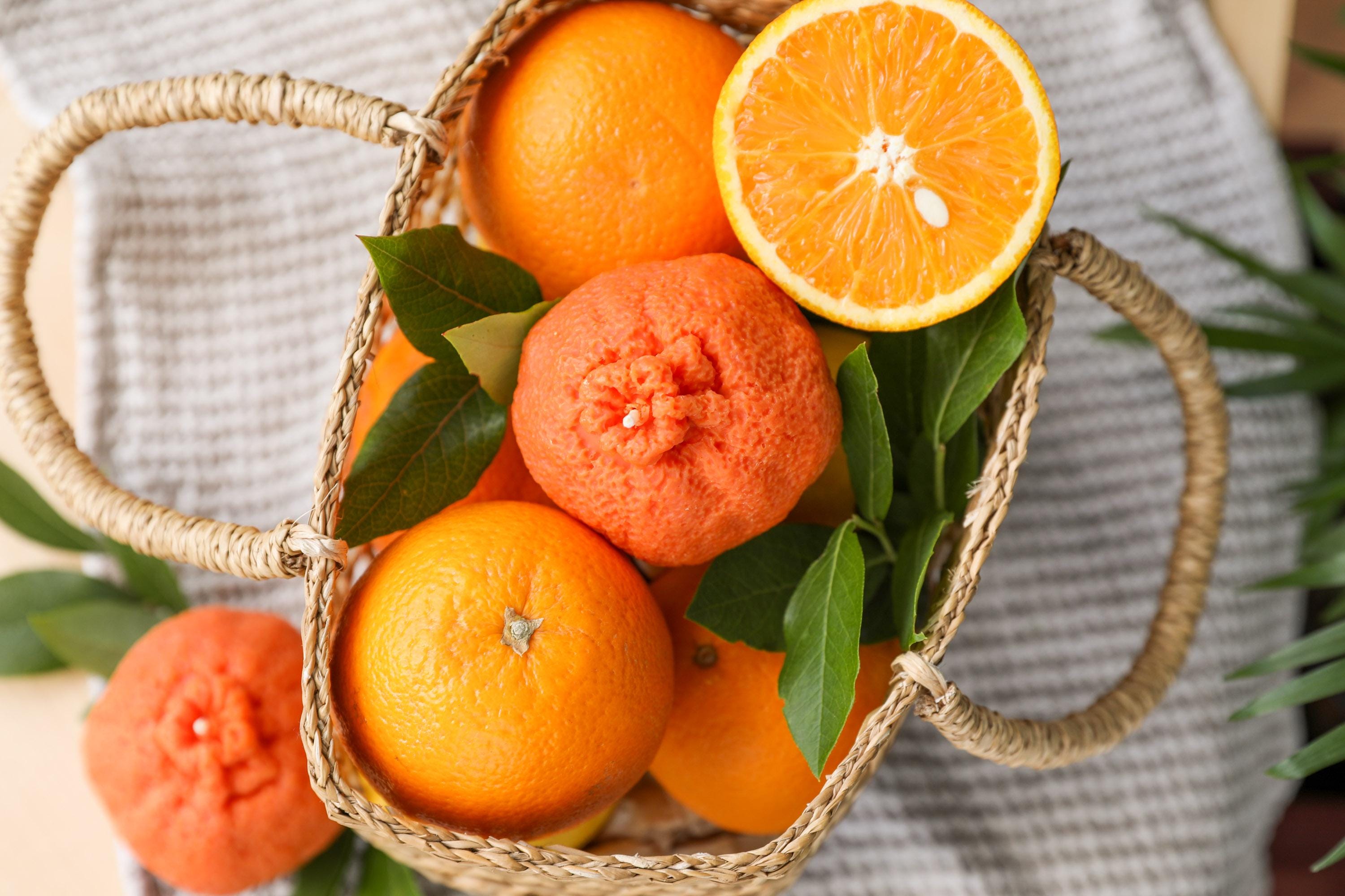 Orange candle garden party candle original gift food candle soy wax candle fruit candle orange scent decorative kitchen candle home decor