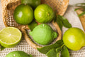 Lime candle garden party candle original gift food candle soy wax fruit candle lemon scent decorative kitchen candle decor