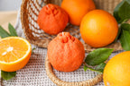 Orange candle garden party candle original gift food candle soy wax candle fruit candle orange scent decorative kitchen candle home decor